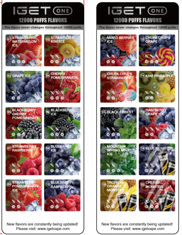 IGET One Mountain Spring Mint - Local Cig Supply Catalog thumbnail 2