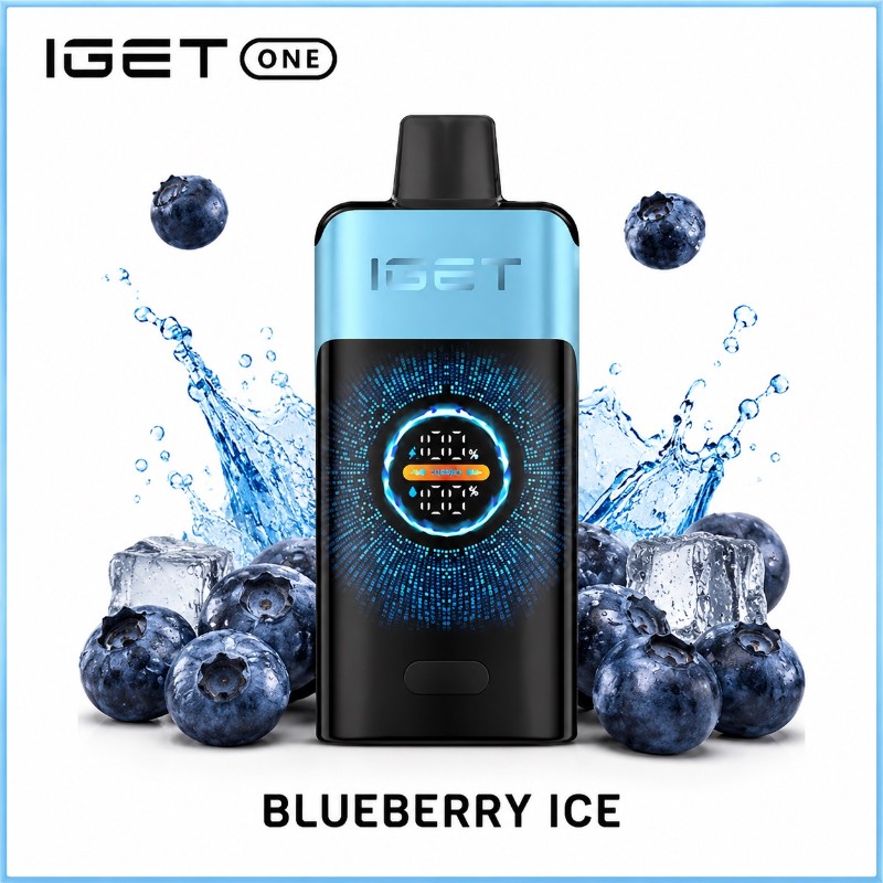 Iget One 12000 Puff - Blueberry Ice
