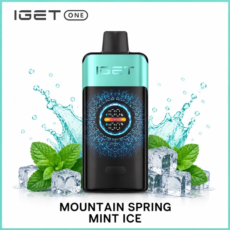 Iget One 12000 Puff - Mountain Spring Mint Ice