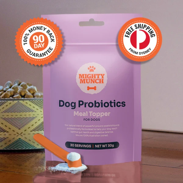 Pet Food