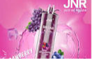 jnr shisha strawberry grape 12000